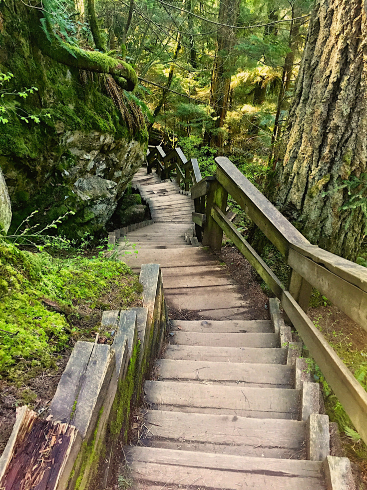 Wooden Stairs in a Nature Park