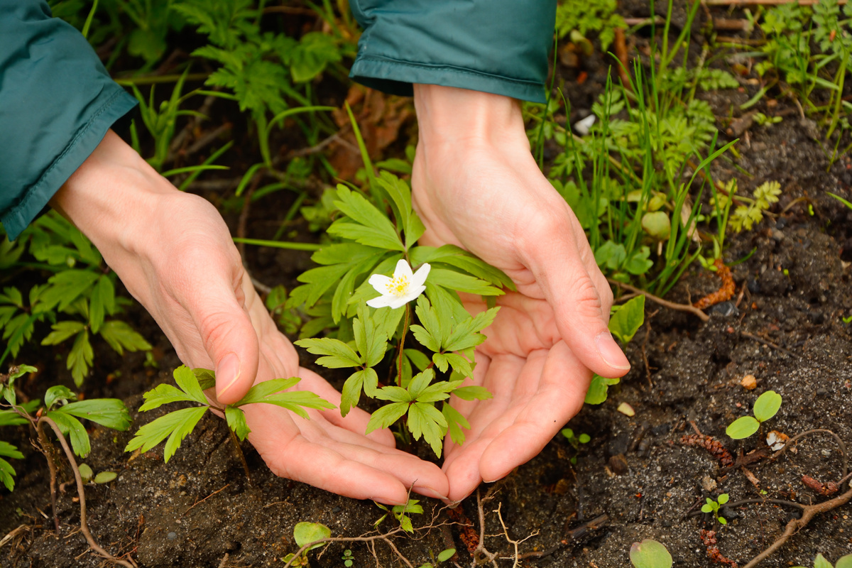 Nature conservation